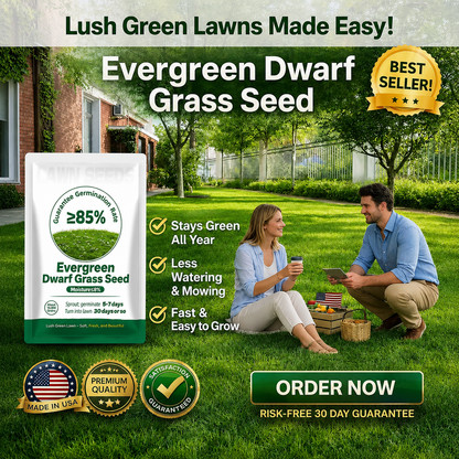 🔥Last Day Promotion 49% OFF🔥🌱2026 Evergreen Dwarf Grass Seed for Four Seasons| Durable, Vibrant Green All Year